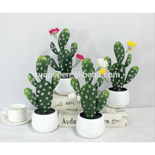 mini succulent plants / home decorative mini cactus bonsai